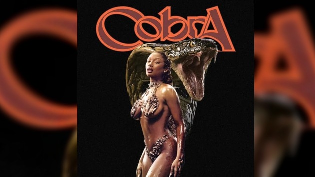megan-thee-stallion-crosses-over-with-“rock-remix”-version-of-“cobra”